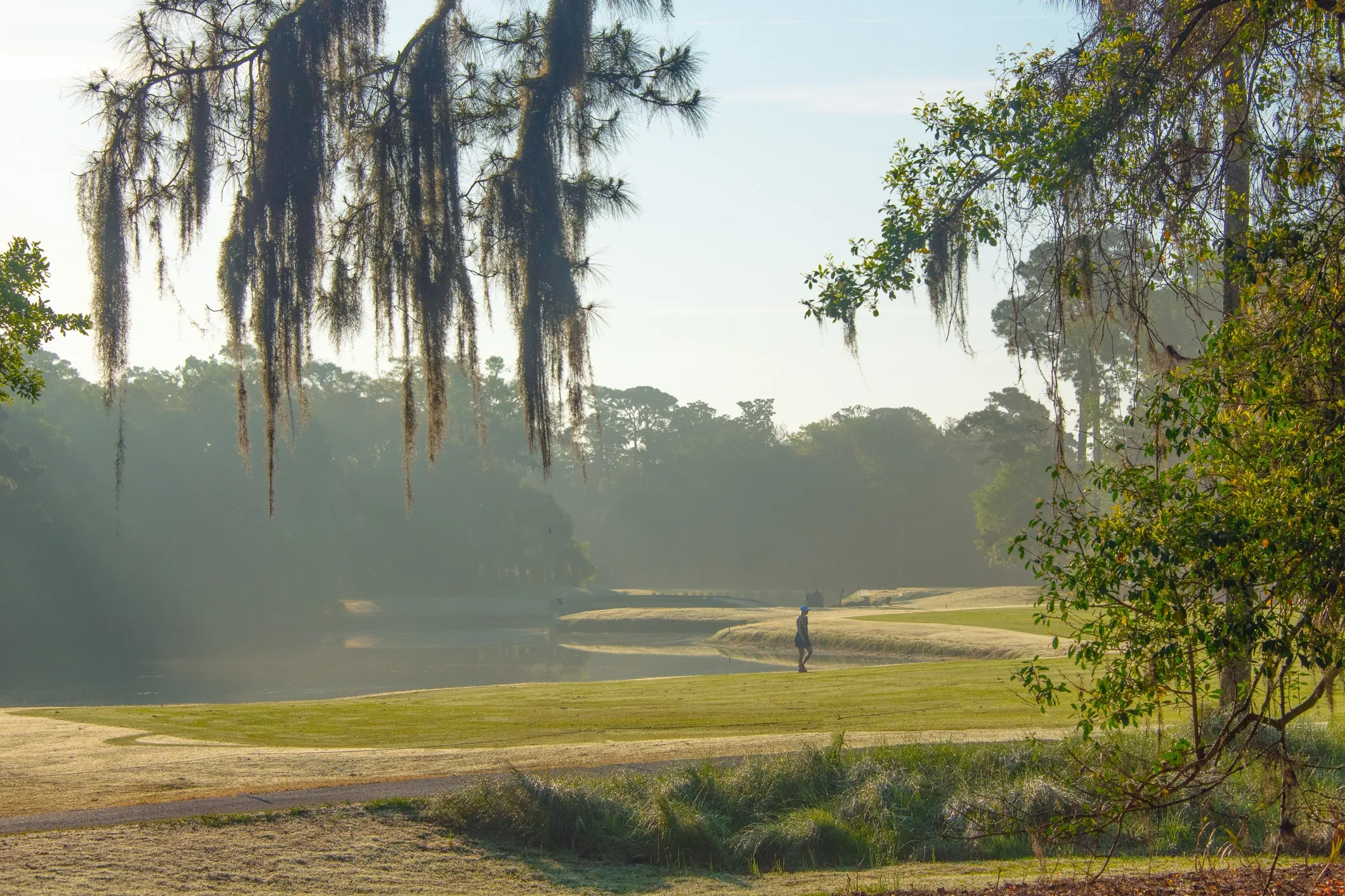 Hilton Head